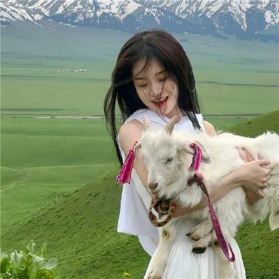 剑网3万花小医仙
