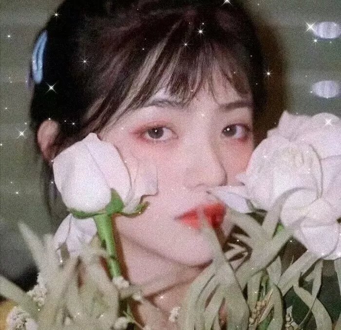 女记者的日记